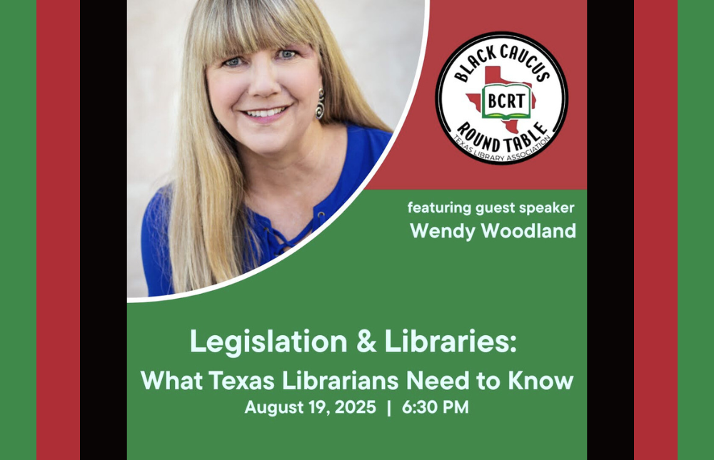 Decorative graphic for the August 2025 BCRT Meeting